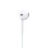 EarPods - APPLE - (USB-C)